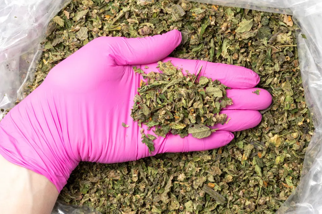 Purple Octane Preroll Mix B 11-19-25 PINK.webp