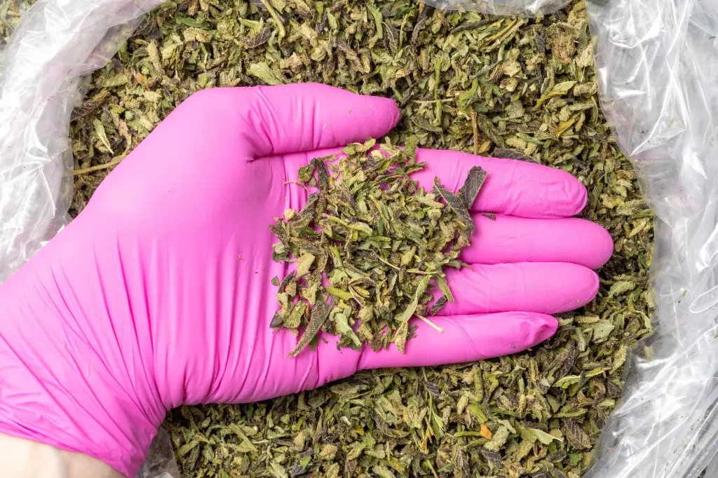 Double Runtz Preroll Mix C 11-19-25 PINK.webp