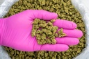 Gelato #33 Smalls -PINK- 081125 20250807RBG3S.webp
