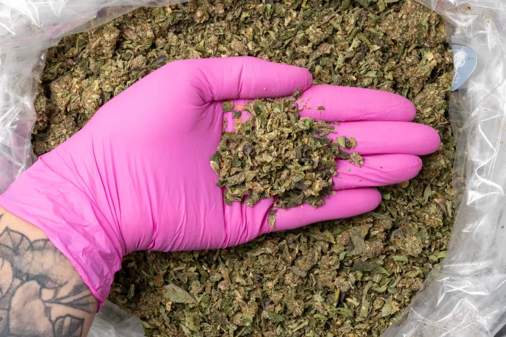 GG#4Preroll Mix B 11-19-25 PINK.webp