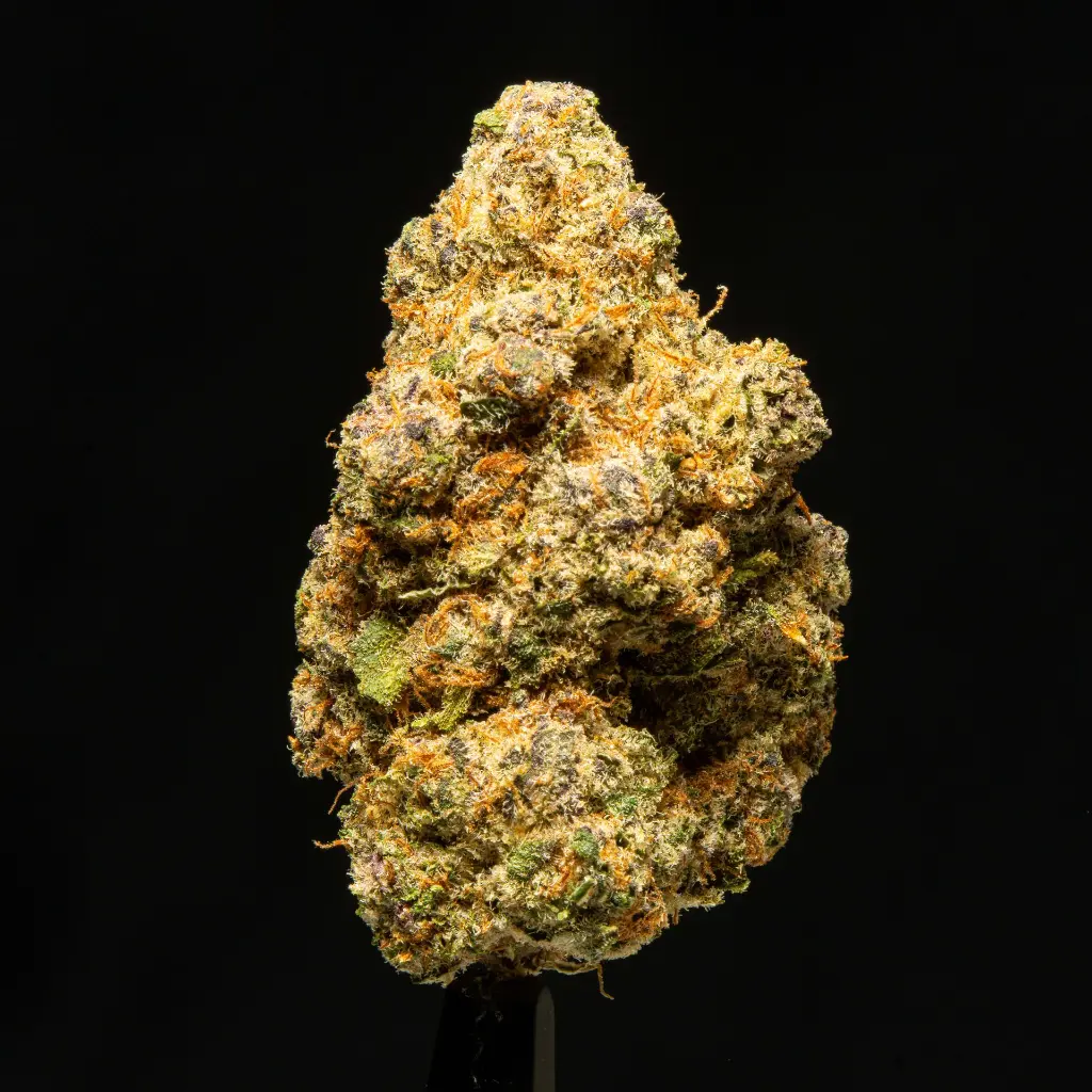 Sub Zero -FLOAT- 111825.webp