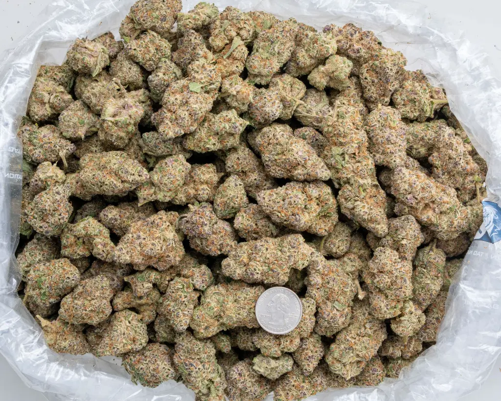 Sub Zero -BAG- 111825.webp