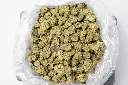 Jungle Cake Indoor 11-21-25 BAG.webp