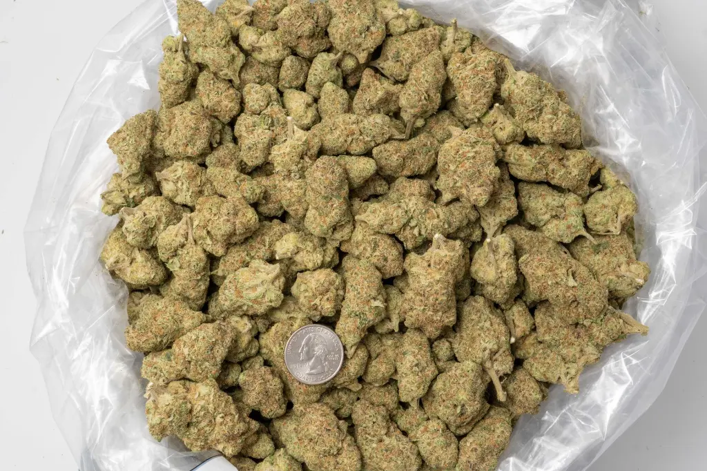 Jealousy Mintz Indoor 11-20-25 BAG (2).webp