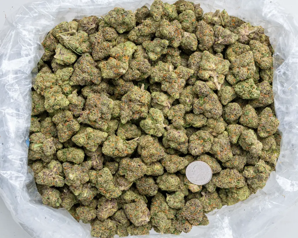 Lemon Cherry Gelato -BAG- 111825.webp