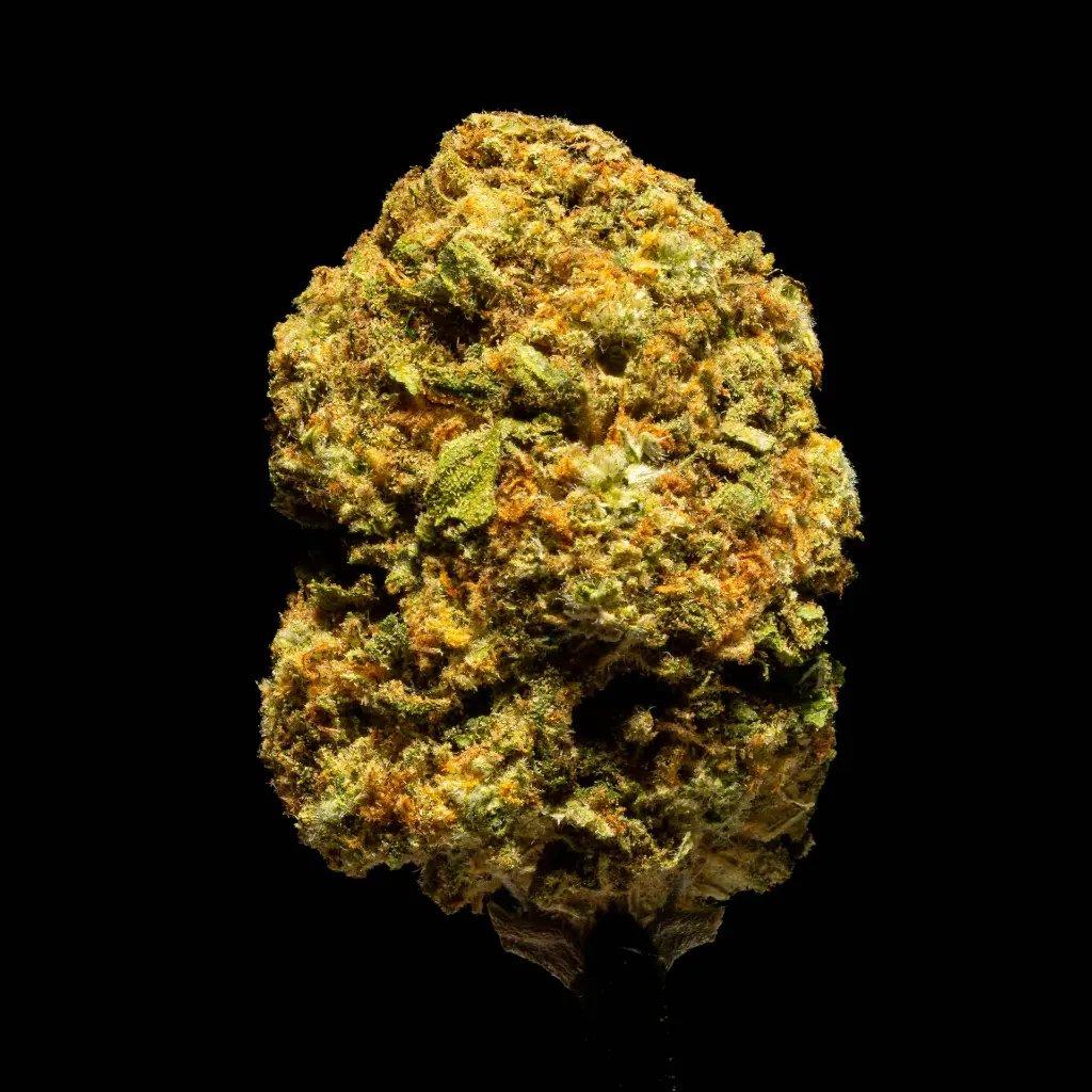 Sweet Melon -FLOAT- 102725.webp