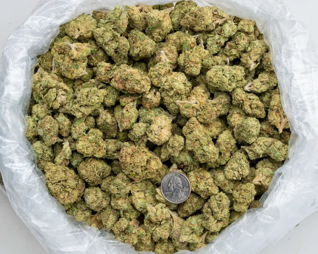 Sweet Melon -BAG- 102725.webp