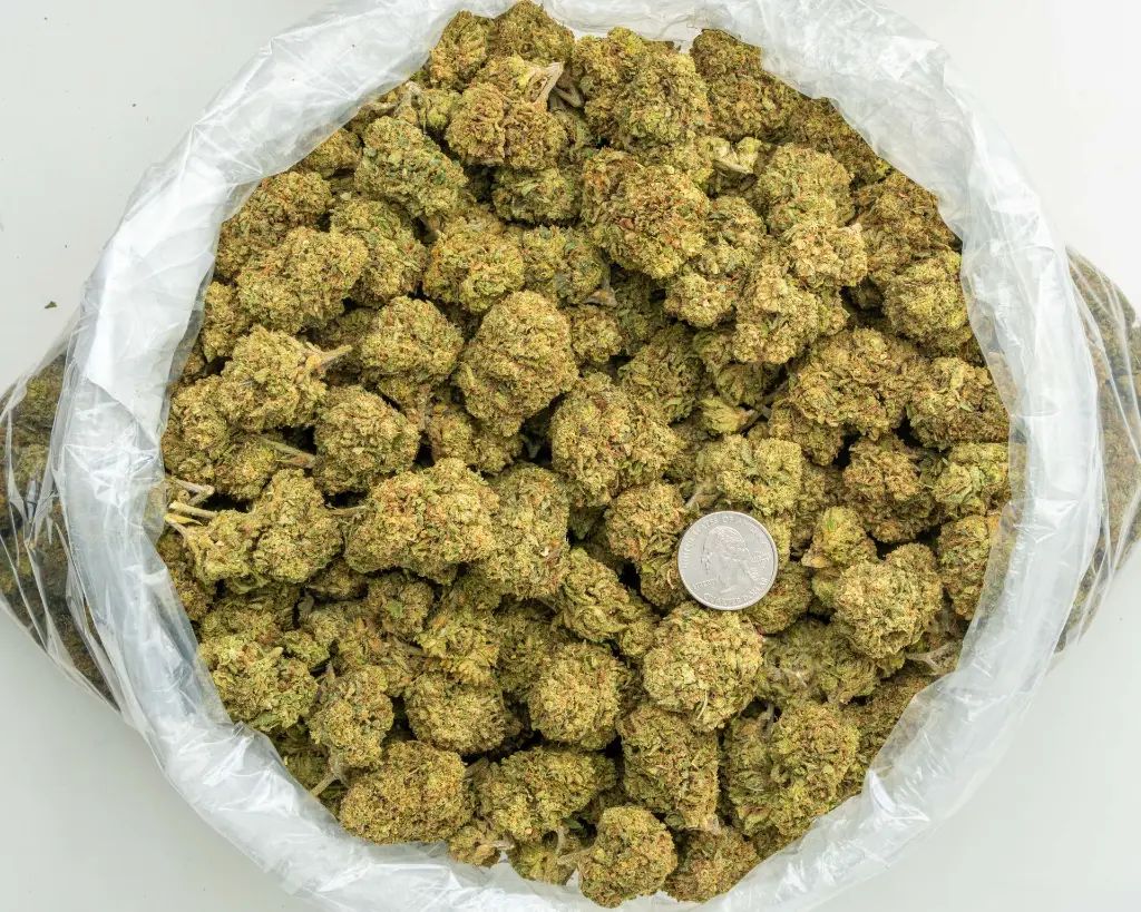 RS-11 -BAG- 072125 20250718THR11.webp