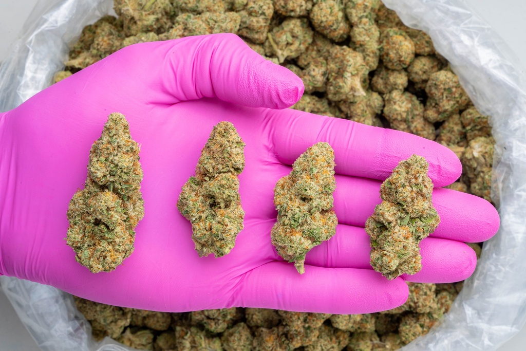 Illemonati -NUG- 112525.jpg