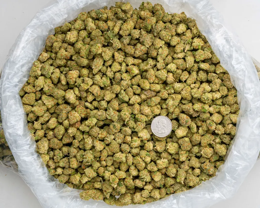 White Lemon Indoor Smalls -BAG- 251125.webp