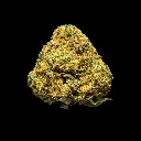 Runtz Smalls -FLOAT- 112425.webp