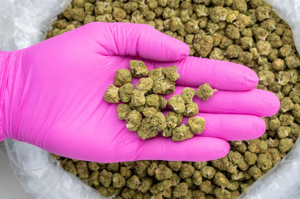 Runtz Smalls -PINK- 112425.webp