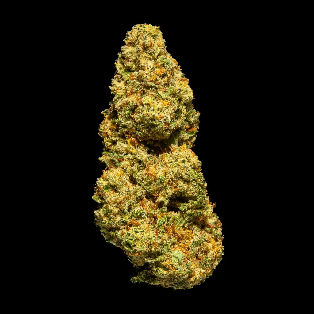 Illemonati -FLOAT- 112525.webp