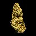 Illemonati -FLOAT- 112525.webp