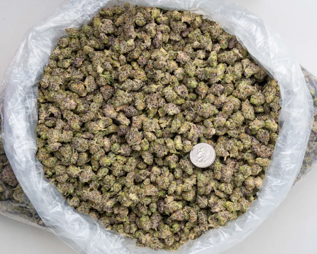 White Truffle Indoor Smalls -BAG- 251125.webp