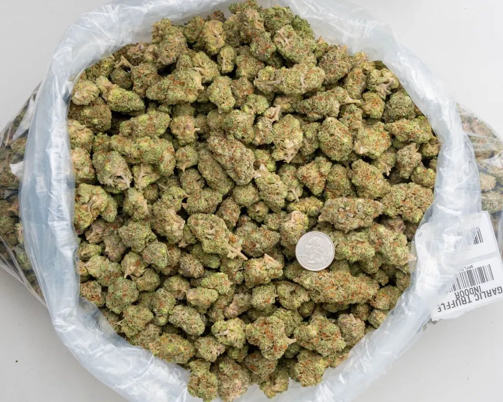 Garlic Truffle Indoor -BAG- 251125.webp