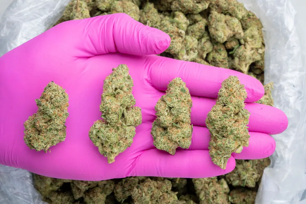 Super Boof -PINK- 112525.webp