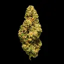 Super Boof -FLOAT- 112525.webp