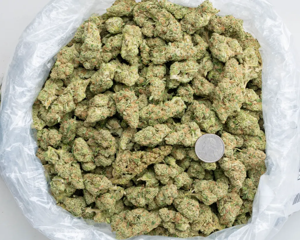 Super Boof -BAG- 112525.webp