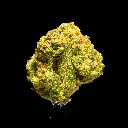 Royal Chemdawg Smalls -FLOAT- 251125.webp