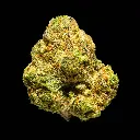 Rainbow Latte Indoor Smalls -FLOAT- 251125.webp