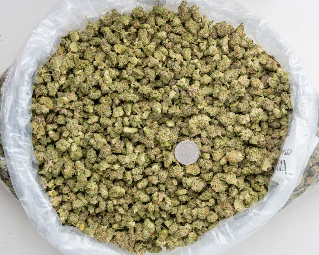 Tropicana Cherry Indoor Smalls -BAG- 251125.webp