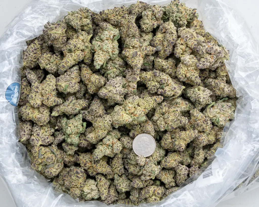 Devil Driver Indoor -BAG- 120225.webp