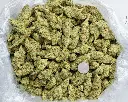 Ghost Train Haze Indoor -BAG- 120225.webp