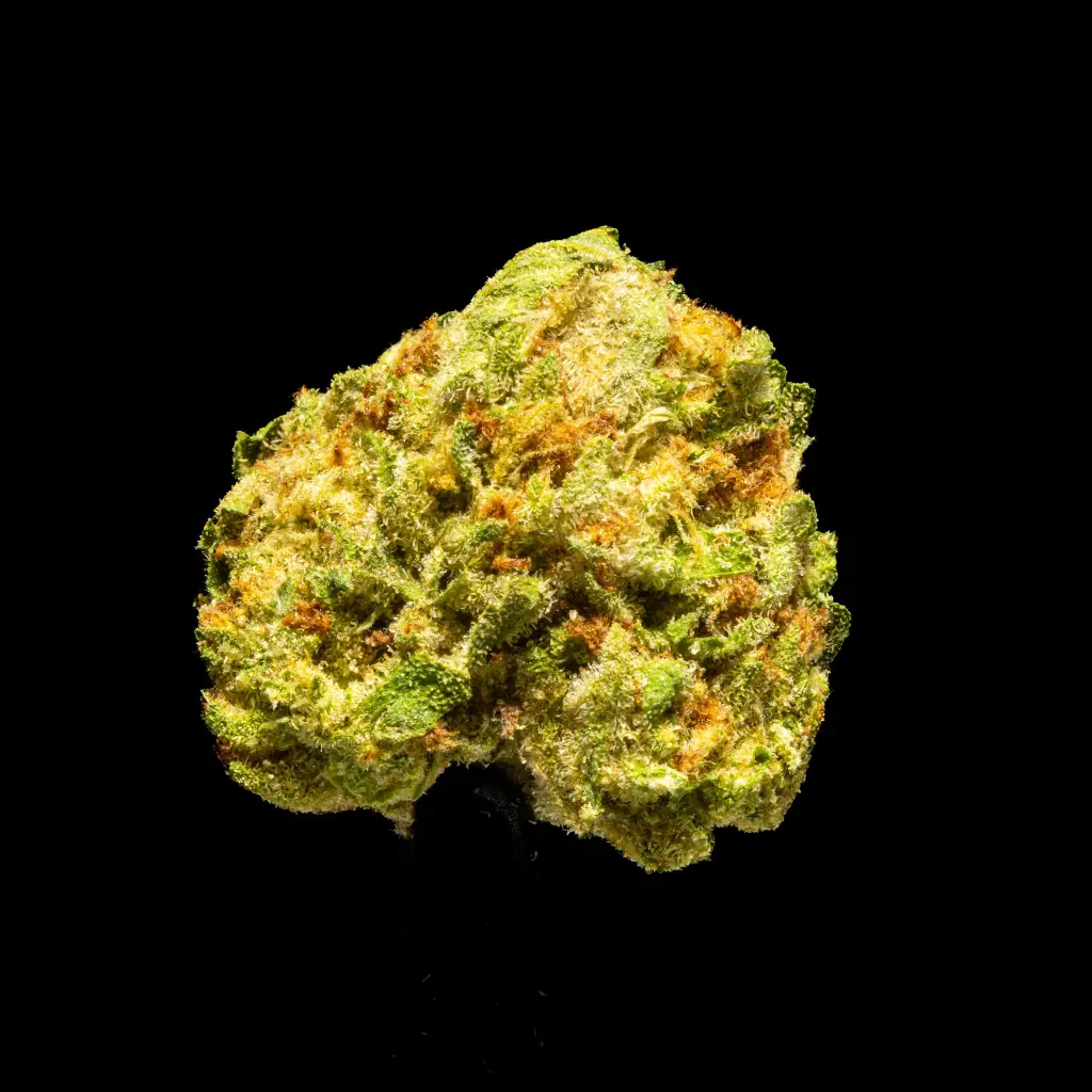 GMO Cookies Smalls -FLOAT- 251125.webp