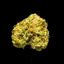 GMO Cookies Smalls -FLOAT- 251125.webp