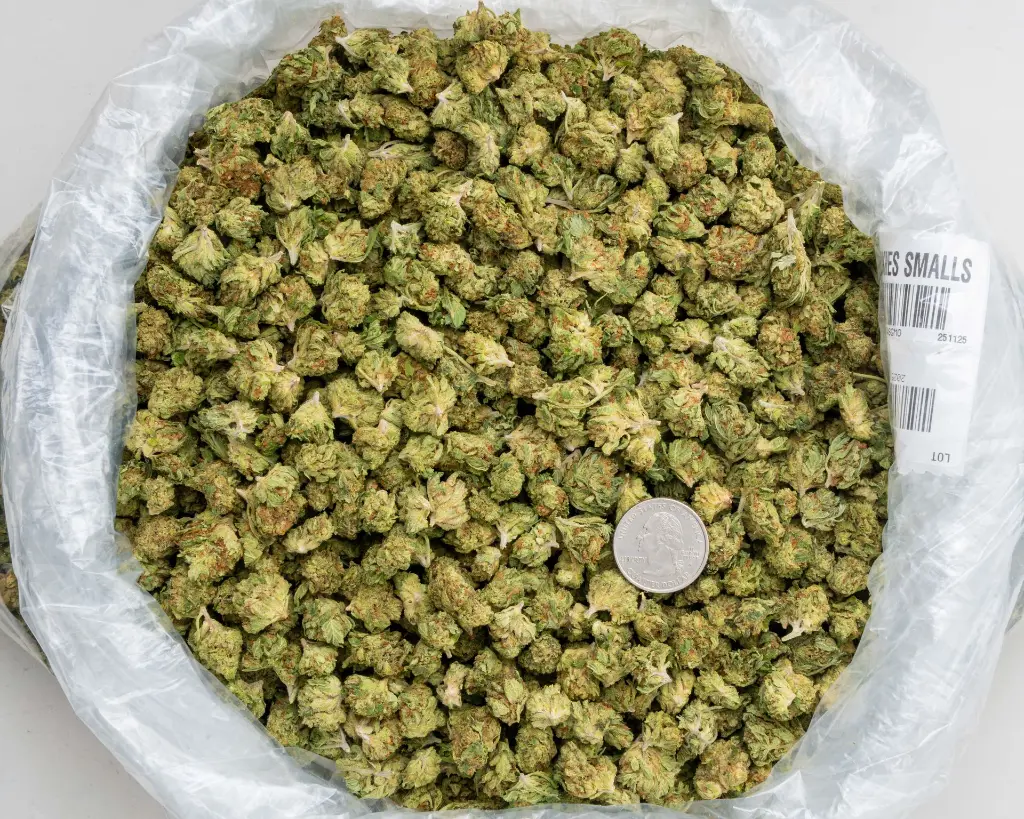 GMO Cookies Smalls -BAG- 251125.webp