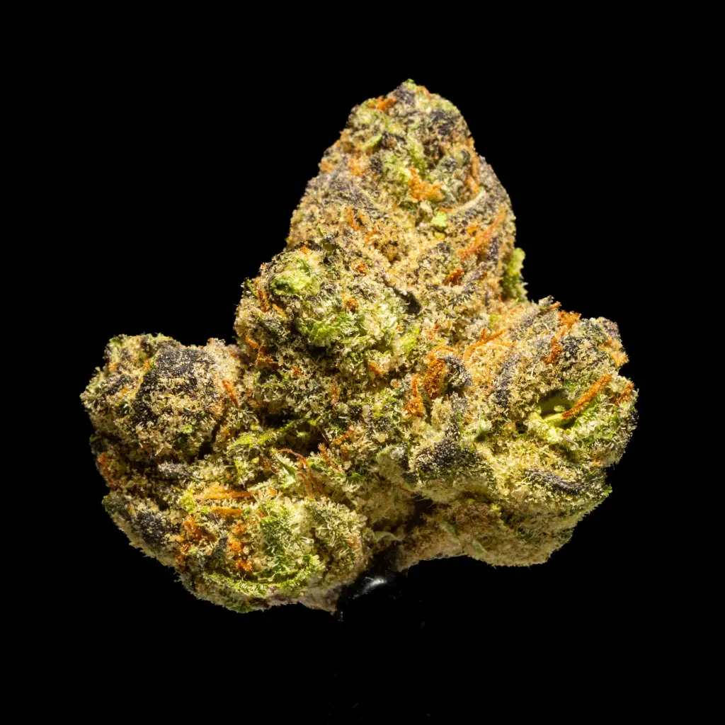 OG Cherry Indoor Smalls -FLOAT- 251125.webp