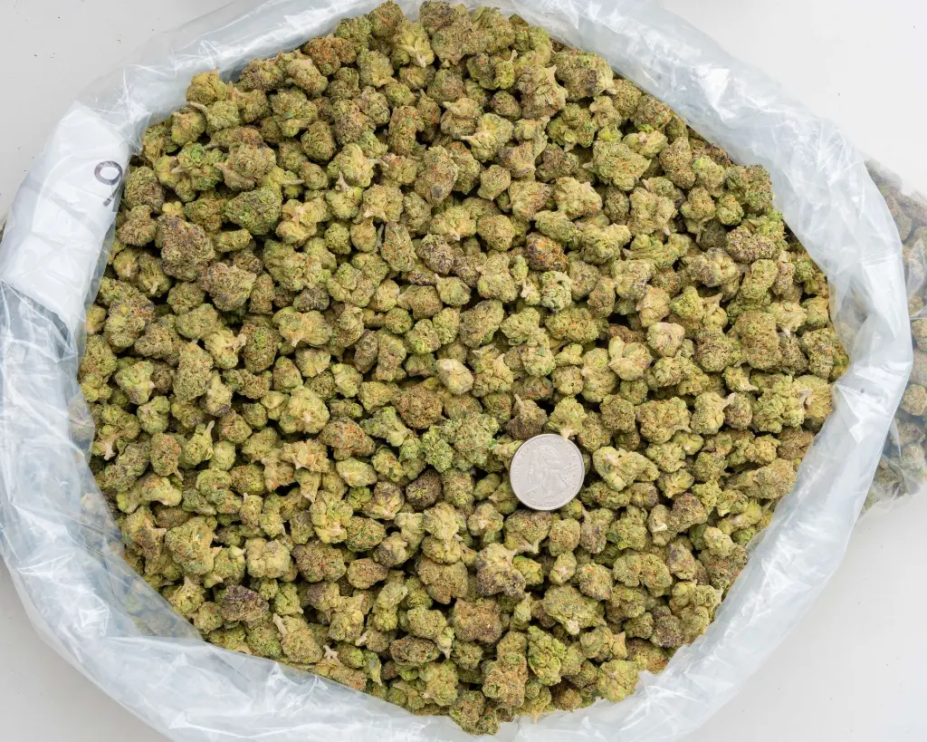 OG Cherry Indoor Smalls -BAG- 251125.webp