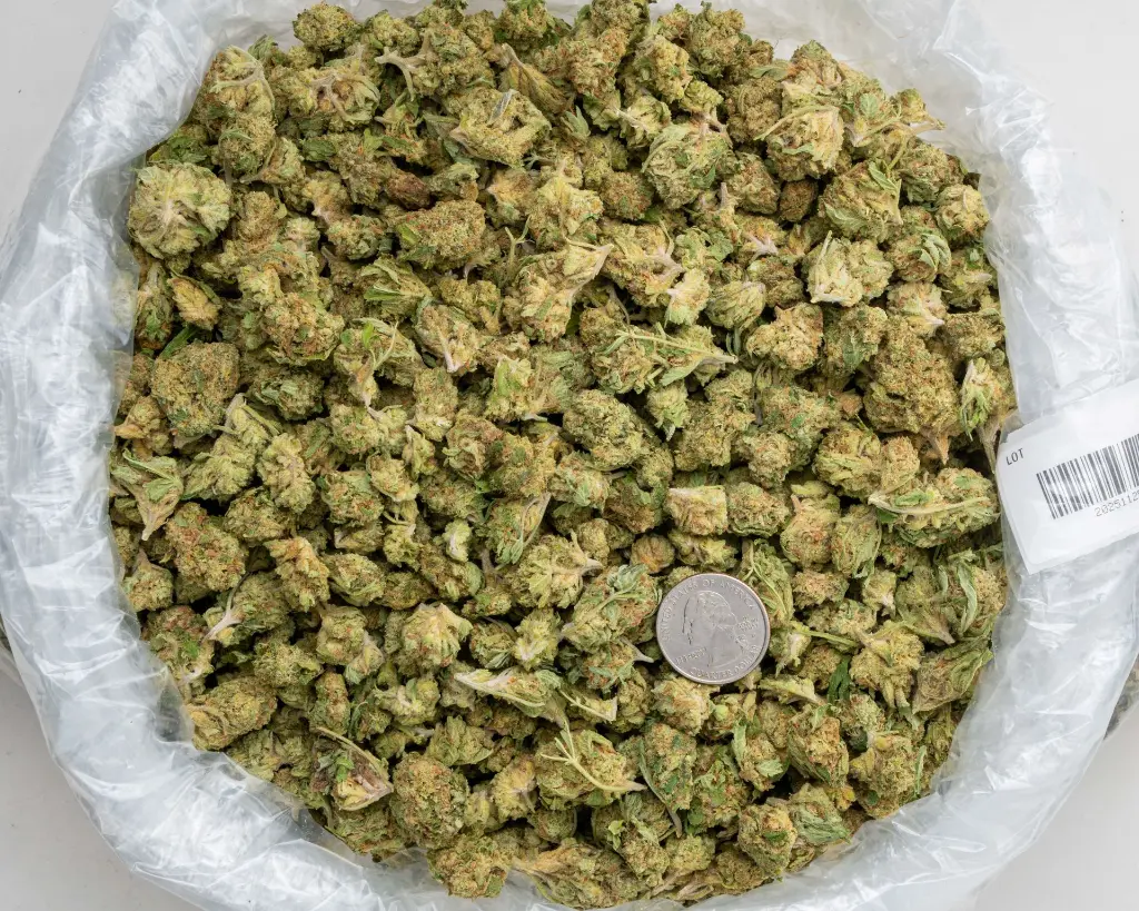 Sweet Melon Smalls -BAG- 251125.webp