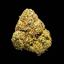 Gummiez Indoor -FLOAT- 120225.webp