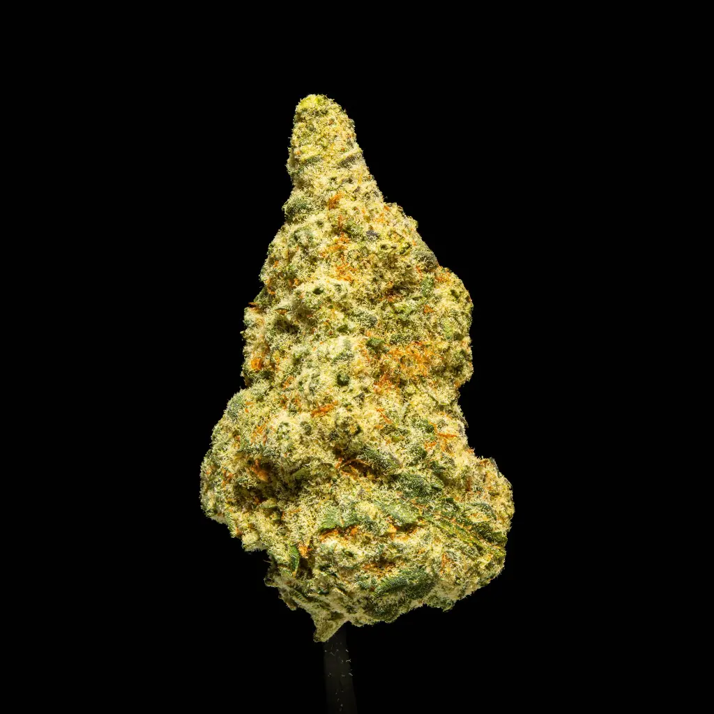 Amnesia Haze Indoor -FLOAT- 120225.webp