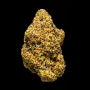 Walking in LA Indoor -FLOAT- 092625 20250925SAWIL.webp