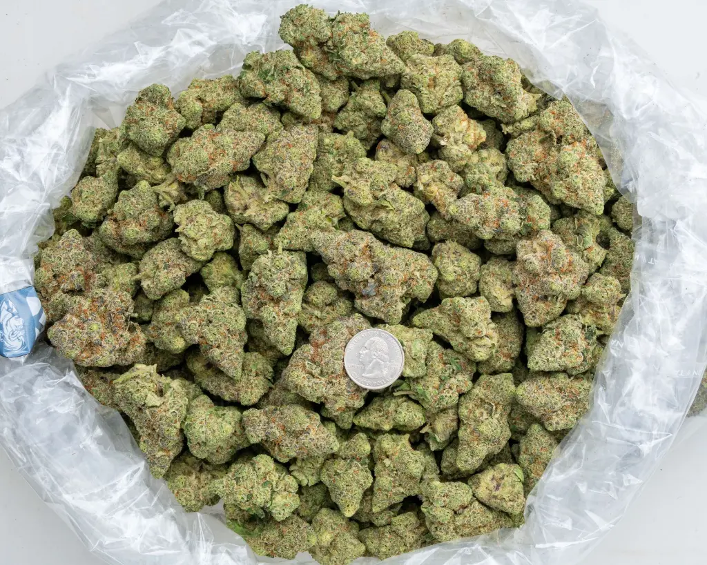 Singapore Sling Indoor -BAG- 120225.webp