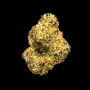 Octane Gas Indoor -FLOAT- 120225.webp