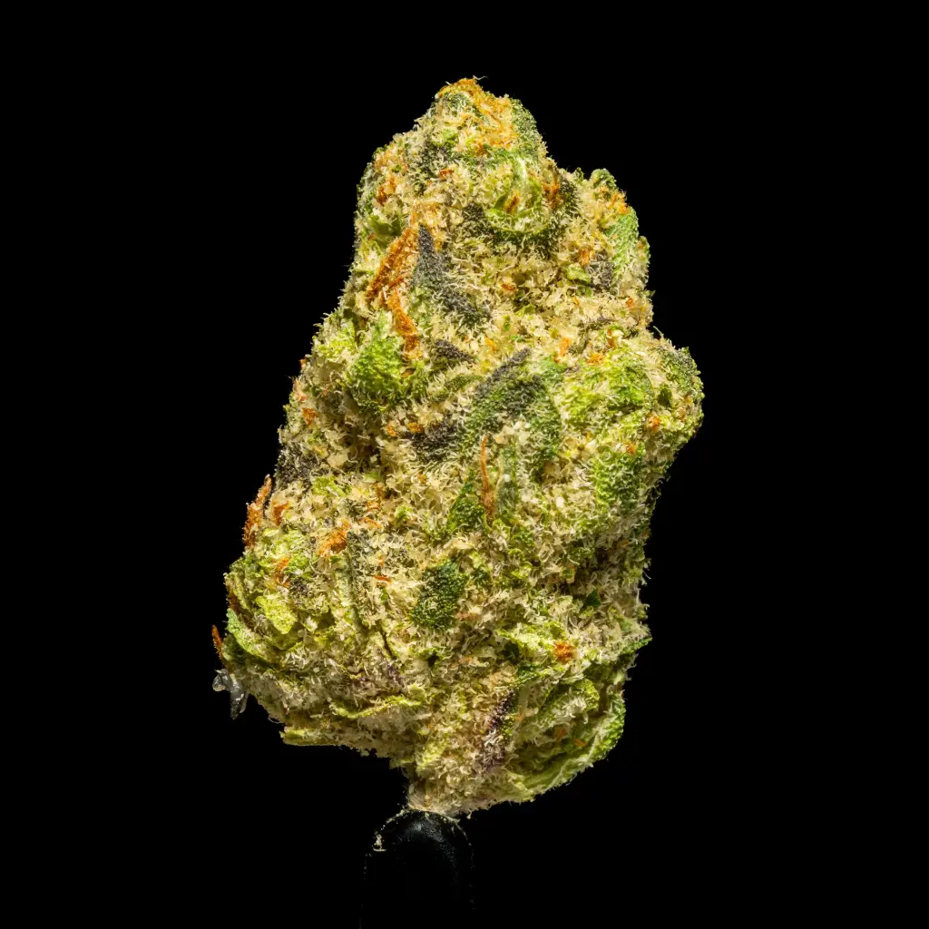 Private Reserve Indoor Smalls -FLOAT- 251125.webp