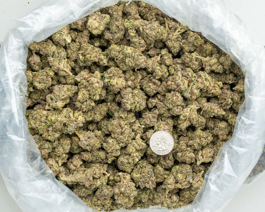 Illuminati -BAG- 081325 20250813FGILU.webp