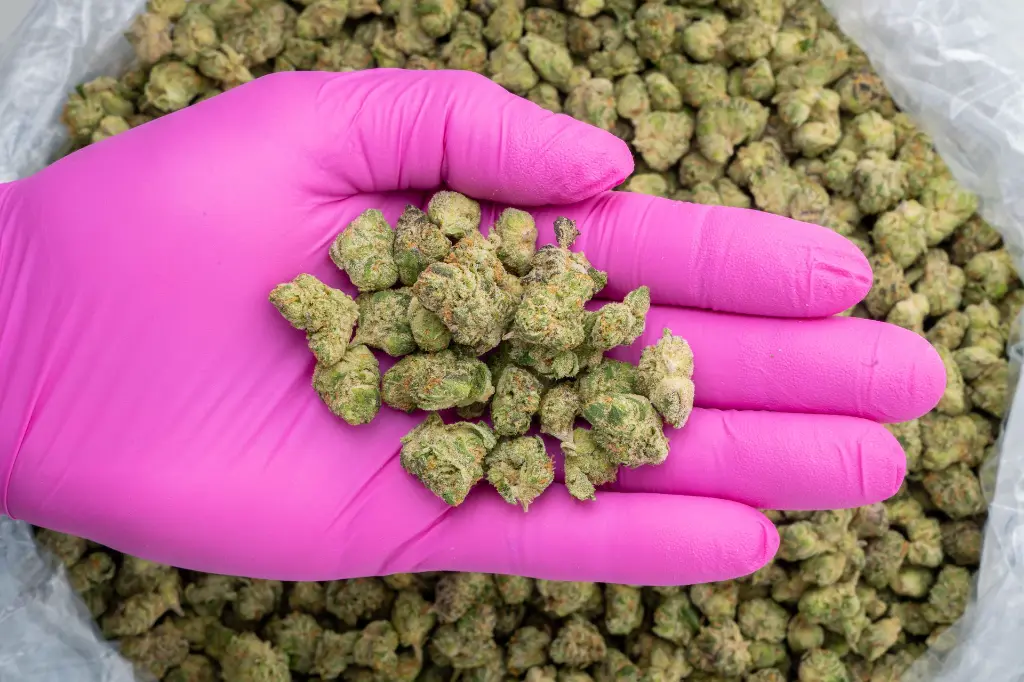 Private Reserve Indoor Smalls -PINK- 251125 (1).webp