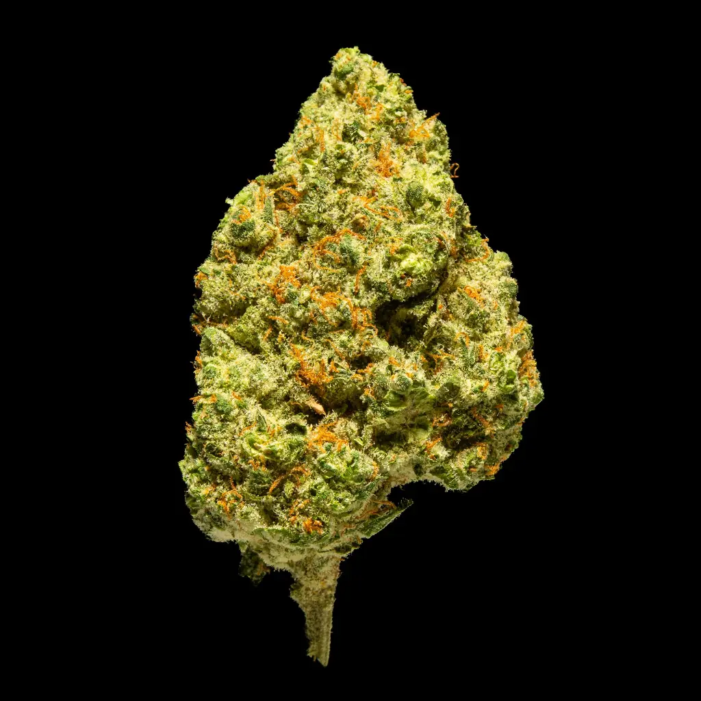 Ghost Train Haze Indoor -FLOAT- 120225 (1).webp