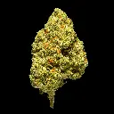 Ghost Train Haze Indoor -FLOAT- 120225 (1).webp