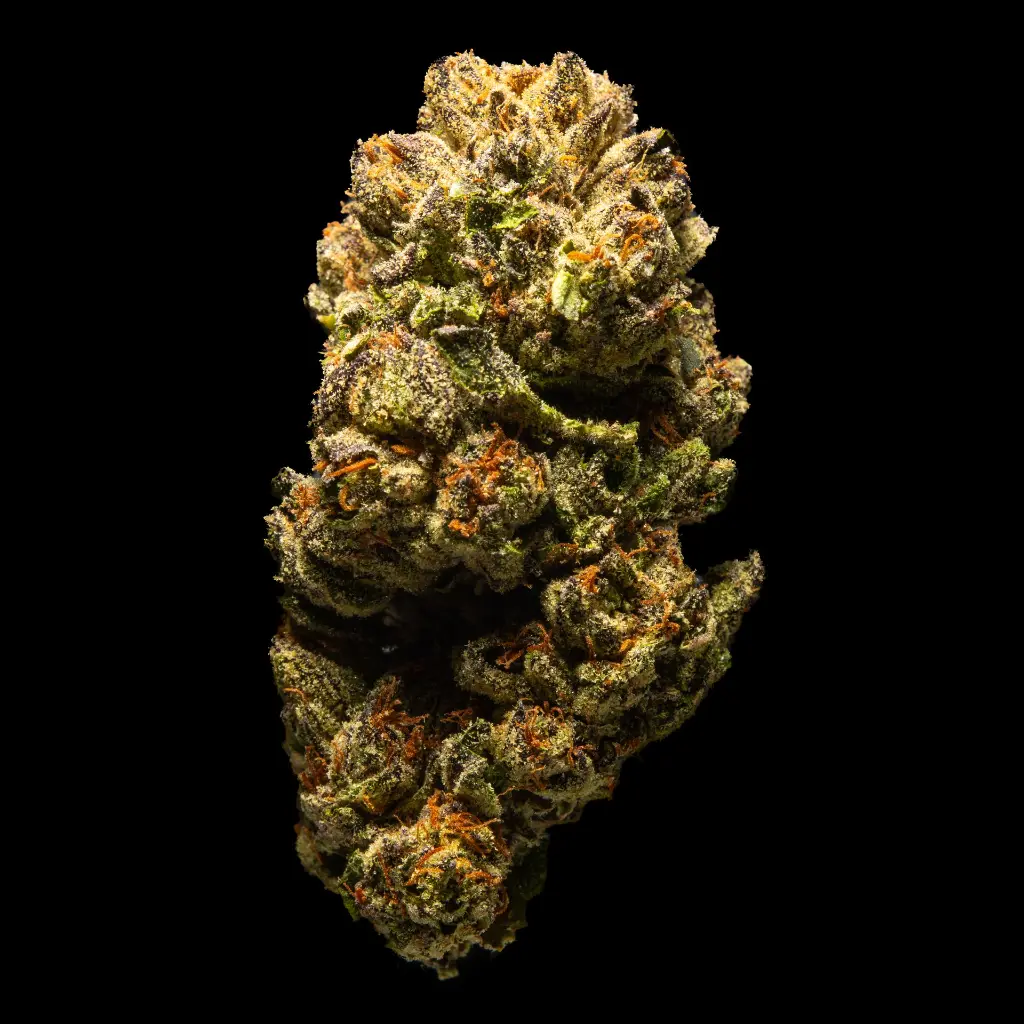 Illuminati -FLOAT- 081325 20250813FGILU.webp