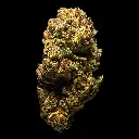 Illuminati -FLOAT- 081325 20250813FGILU.webp