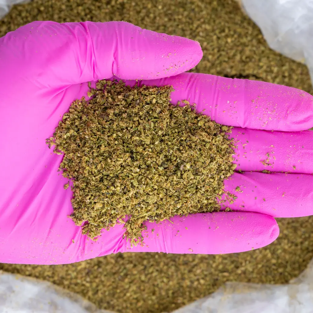 MR X A-Trim -PINK- 060625.webp