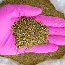 MR X A-Trim -PINK- 060625.webp