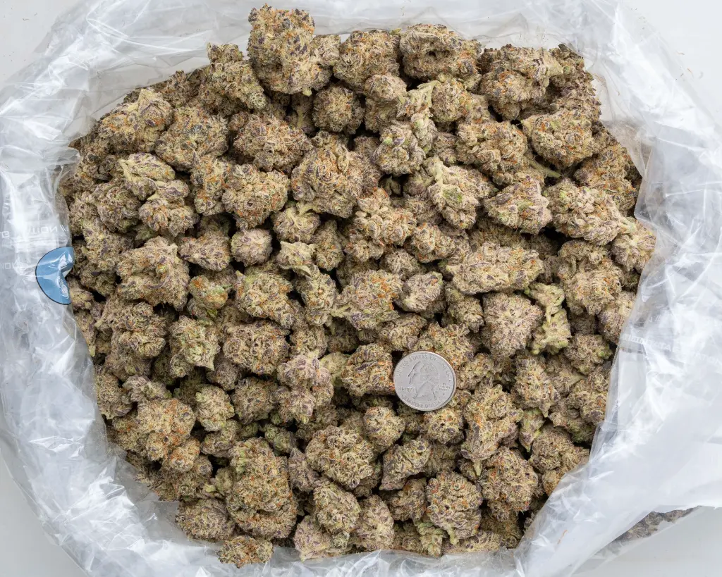 Hawaiian Snow Indoor -BAG- 120225.webp