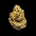 Hawaiian Snow Indoor -FLOAT- 120225.webp